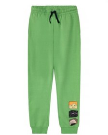 تصویر شلوار minecraft 