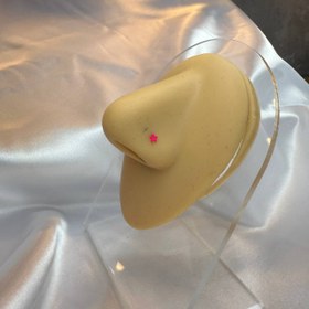 تصویر پرسینگ بینی فانتزی رنگی 