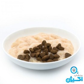 تصویر پودینگ گربه ونپی طعم ماهی سالمون 90 گرم ( چینی نویس ) Wanpy Pudding Salmon 90g