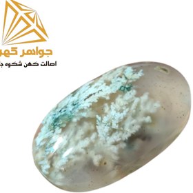 تصویر نگین شجر بهاری (کد 70) 