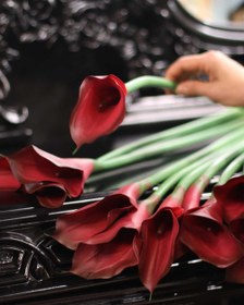 تصویر گل شیپوری سرخ 