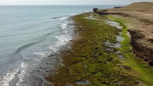 تصویر فیلم جزیره هنگام 