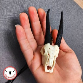 تصویر گردنبند مینی جمجمه غزال 