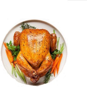 تصویر مرغ شکم پر 