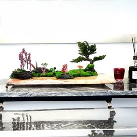 تصویر لنداسکیپ مینیاتوری 