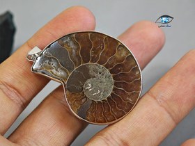 تصویر فسیل آمونیت 10 گرم 