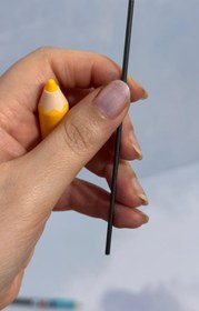 تصویر مغز اتود دومیل 