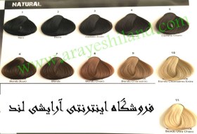 تصویر رنگ مو الیو OLIVE حجم 100 میل گروه طبیعی (سری N – Natural) 