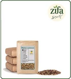 تصویر بذر خار مریم خشک فله 