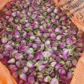 تصویر غنچه گل محمدی یک کیلویی 