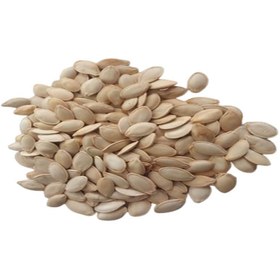 تصویر تخمه کدو گوشتی pumpkin seeds