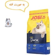 تصویر غذا خشک گربه جوسرا جوسی کت با طعم اردک وزن نیم کیلوگرم JosiCat Crispy Duck 