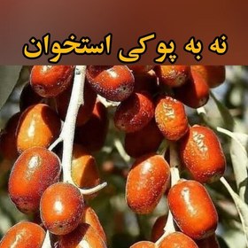 تصویر حبه عناب در سه طعم سنجد، هل و زنجبیل (330 گرمی) 