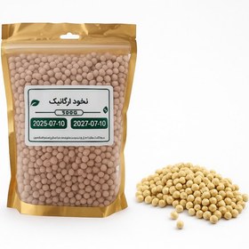 تصویر نخود ارگانیک 