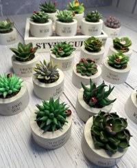 تصویر کاکتوس مصنوعی گلچینی 