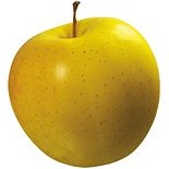 تصویر سیب زرد مراغه (درجه 2) 