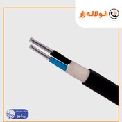 تصویر کابل برق آلومینیومی 10×2 (2 در10) با عایق XLPE پیشرو رفسنجان(NA2XY) 