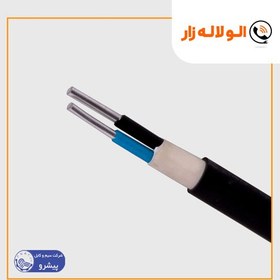 تصویر کابل برق آلومینیومی 10×2 (2 در10) با عایق XLPE پیشرو رفسنجان(NA2XY) 