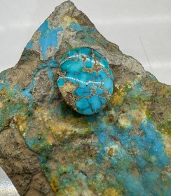 تصویر فیروزه نیشابور 