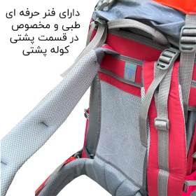 تصویر کوله پشتی کوه و سفر Deuter مدل DTR145 (45+10 LITER) 