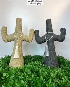 تصویر شمعدان-کاکتوس 