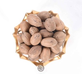 تصویر گردو پکان 100 گرم آجیل متفرقه