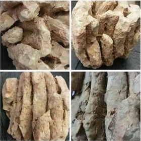 تصویر فسل کاملا طبیعی 