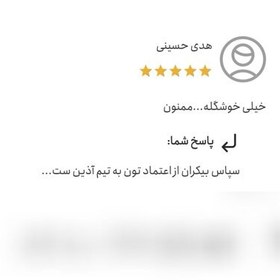 تصویر ست سرویس بهداشتی مدل زاپ برند آذین ست - رنگ نقره ای کامل - جنس رزین درجه یک 