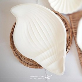 تصویر شات صدف حلزونی 