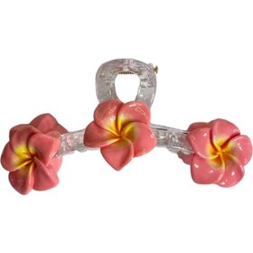 تصویر کلیپس شفاف گل پلومریا 