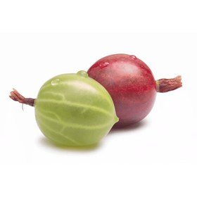 تصویر انگور فرنگی gooseberry