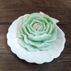 تصویر شات صدف و گل آلاله 