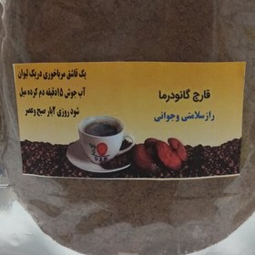 تصویر قارچ گانودرما 55 گرمی 