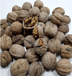 تصویر گردوی ایرانی ممتاز (درجه 1) - 500 گرم Iranian Walnut Grade