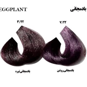 تصویر رنگ مو بارسل تنالیته بادمجانی 