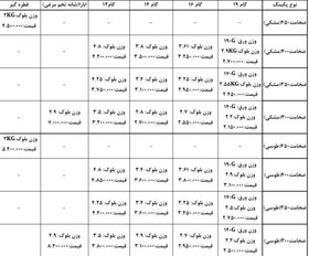 تصویر پکینگ برج خنک کننده- گام ۱۹(ppوpvc) 