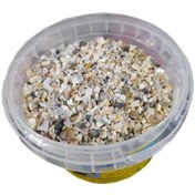 تصویر صدف پرنده خورد شده 