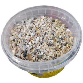 تصویر صدف پرنده خورد شده 