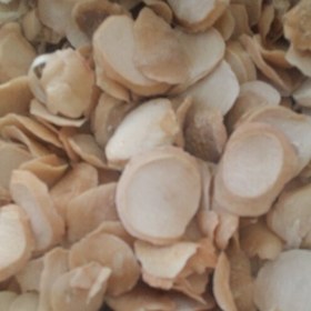 تصویر موسیر خشک شیرین شده کوهی سبزکوه چهارمحال وبختیاری (100گرمی) 