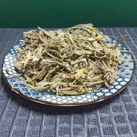 تصویر مریم گلی 