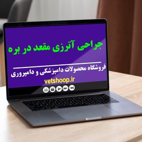 تصویر فیلم آموزشی جراحی آترزی مقعد در بره 