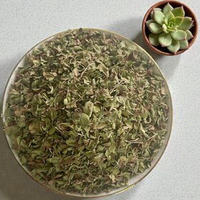 تصویر برگ آویشن شیرازی 