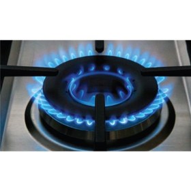تصویر اجاق گاز صفحه ای استیل البرز مدل S6902 ا Alborz steel plate gas stove model S6902 Alborz steel plate gas stove model S6902