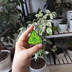 تصویر سنجاق سینه سبز 