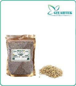 تصویر عدس ارگانیک 