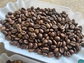 تصویر دان قهوه روبوستا ویتنام 