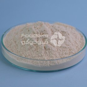 تصویر زانتان گام برند فوفنگ Fufeng Xanthan Gum is an advanced concentrator for industrial applications