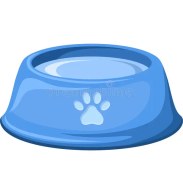 تصویر ظرف آب سیلیکونی 