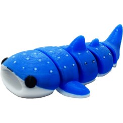 تصویر کوسه خالدار 