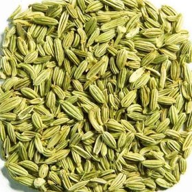 تصویر رازیانه 